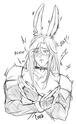 Commander bunny Commander bunny