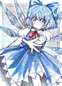 cirno cirno